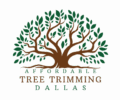 Affordable Dallas Tree Trimming