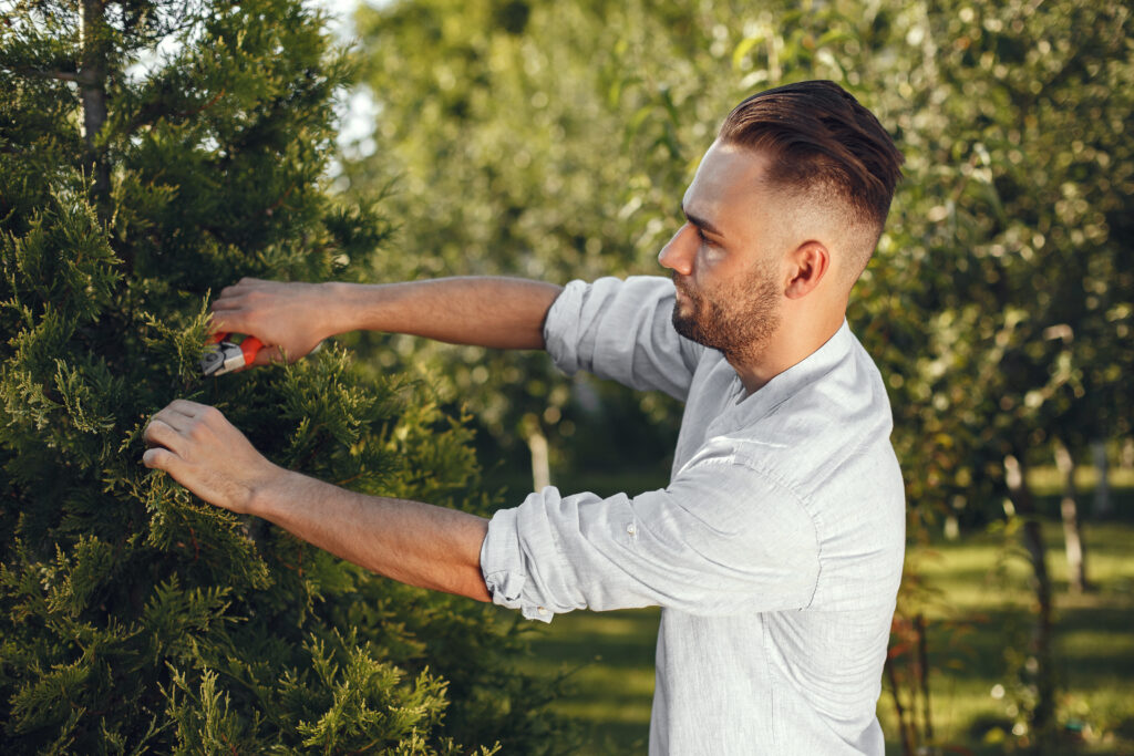 Man trimming bough of brush. Guy works in a backyard.